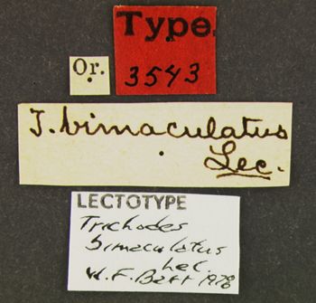 Media type: image;   Entomology 3543 Aspect: labels